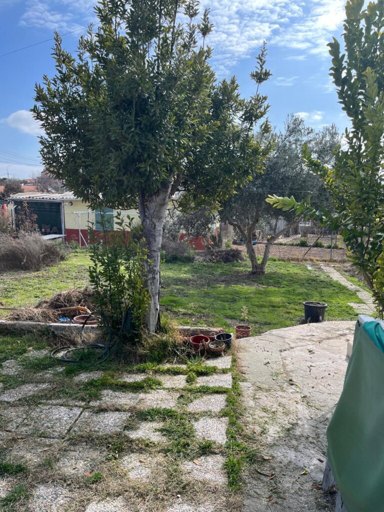 Jardín con arbolado y camino de acceso · Chalet en venta en Urtajo, Colmenar de Oreja (REF 1835)