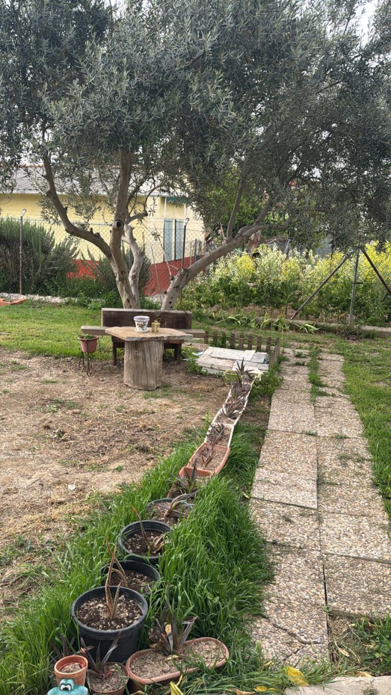 Parcela con olivo y zona de huerto · Chalet en venta en Urtajo, Colmenar de Oreja (REF 1835)