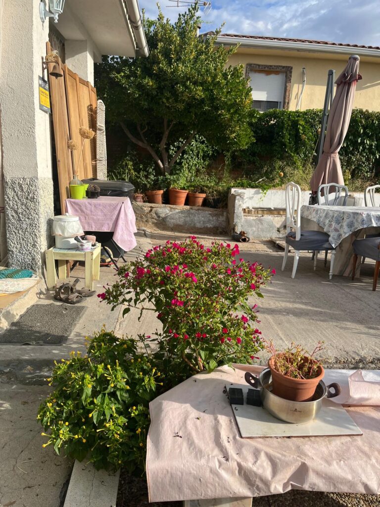 Patio con plantas junto a la vivienda · Chalet en venta en Urtajo, Colmenar de Oreja (REF 1835)